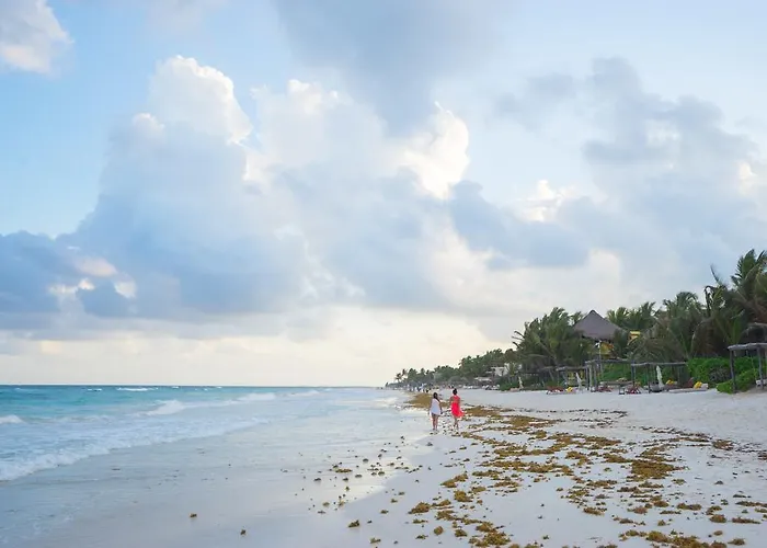 Chill Inn Hostel Tulum